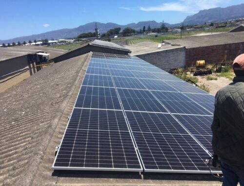 Reduce Costs With Renewable Energy